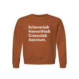 Echeveria, Haworthia, Crassula & Aeonium Plant Lover Sweatshirt – Organic Cotton Raglan