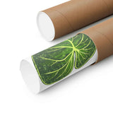Philodendron Gloriosum Botanical Print – Unframed Wall Art