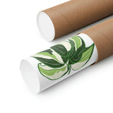 Philodendron Cream Splash Botanical Print – Unframed Wall Art