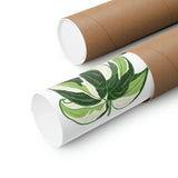 Philodendron Cream Splash Botanical Print – Unframed Wall Art