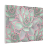Echeveria Violet Queen Succulent Pattern Canvas Print – Botanical Wall Art
