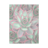 Echeveria Violet Queen Succulent Pattern Canvas Print – Botanical Wall Art