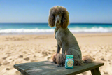 Poodle sitting on a wooden bench at the beach with a bag of ROSEMARY MINT & ARNICA BATH SALTS 16 oz. OR 32 oz.