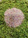 Round ball of multicolored seeds on a green moss background Low Grow™ No-Mow Lawn Mix – Clover & Low-Maintenance Grass Alternative