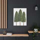 Ponderosa Pine Canvas Print – Wall Art