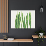 Snake Plant Canvas Print – Botanical Wall Art