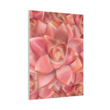 Graptosedum California Sunset Succulent Pattern Canvas Print – Botanical Wall Art