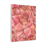 Graptosedum California Sunset Succulent Pattern Canvas Print – Botanical Wall Art