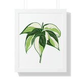 Philodendron Cream Splash Framed Print – Botanical Wall Art