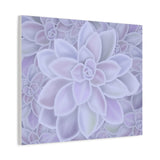 Graptopetalum Murasaki Succulent Pattern Canvas Print – Botanical Wall Art