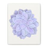 Graptopetalum Murasaki Succulent Canvas Print – Botanical Wall Art