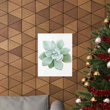 Pachyveria Haagei Succulent Botanical Print – Unframed Wall Art