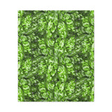 Aglaonema Pictum Canvas Print – Botanical Wall Art
