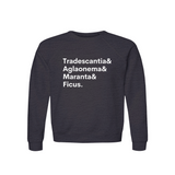 Tradescantia, Aglaonema, Maranta & Ficus Plant Lover Sweatshirt – Organic Cotton Raglan