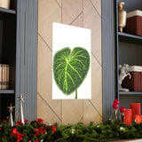 Philodendron Gloriosum Botanical Print – Unframed Wall Art