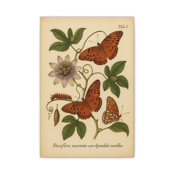 Passionflower with Gulf Fritillary, Vintage-style Botanical Illustration on Canvas