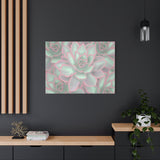 Echeveria Violet Queen Succulent Pattern Canvas Print – Botanical Wall Art