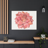 Graptosedum California Sunset Succulent Canvas Print – Botanical Wall Art