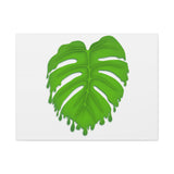 Melting Monstera Canvas Print – Botanical Wall Art