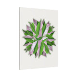 Syngonium Tricolor Pattern Canvas Print – Botanical Wall Art