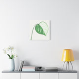 Monstera Albo Canvas Print – Botanical Wall Art