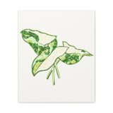 Marble Syngonium Canvas Print – Botanical Wall Art