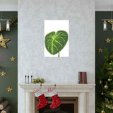 Philodendron Gloriosum Botanical Print – Unframed Wall Art