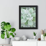 Pachyveria Haagei Succulent Pattern Framed Print – Botanical Wall Art