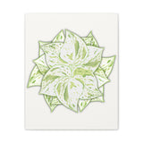 Snow Queen Pothos Canvas Print – Botanical Wall Art