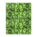 Aglaonema Pictum Canvas Print – Botanical Wall Art