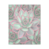 Echeveria Violet Queen Succulent Pattern Canvas Print – Botanical Wall Art