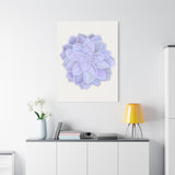 Graptopetalum Murasaki Succulent Canvas Print – Botanical Wall Art