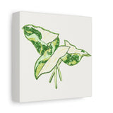 Marble Syngonium Canvas Print – Botanical Wall Art