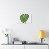 Philodendron Gloriosum Canvas Print – Botanical Wall Art