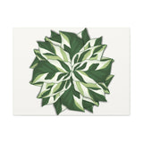 Calathea White Fusion Canvas Print – Botanical Wall Art