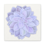 Graptopetalum Murasaki Succulent Canvas Print – Botanical Wall Art