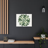 Calathea White Fusion Canvas Print – Botanical Wall Art
