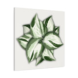Manjula Pothos Canvas Print – Botanical Wall Art