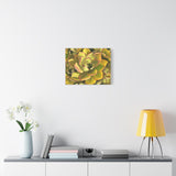 Noble Aeonium Succulent Pattern Canvas Print – Botanical Wall Art