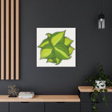Philodendron Brasil Canvas Print – Botanical Wall Art