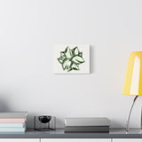 Manjula Pothos Canvas Print – Botanical Wall Art