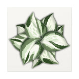 Manjula Pothos Canvas Print – Botanical Wall Art