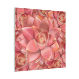 Graptosedum California Sunset Succulent Pattern Canvas Print – Botanical Wall Art