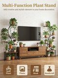 Multi-function plant stand with plants and decor items in a living room setting.