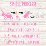 Step-by-step gardening process illustration with gardening tools on a wooden background.