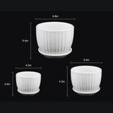 3-Piece White Ceramic Planter Pot Set with Vertical Fluted Design & Matching Saucers with dimensions indicated on a black background