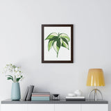 Philodendron Cream Splash Framed Print – Botanical Wall Art