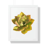 Noble Aeonium Succulent Framed Print – Botanical Wall Art