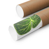 Philodendron Gloriosum Botanical Print – Unframed Wall Art