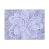 Graptopetalum Murasaki Succulent Pattern Canvas Print – Botanical Wall Art